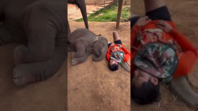 singing_the_baby_to_sleep